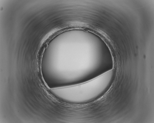 X0000087411022200704201015
