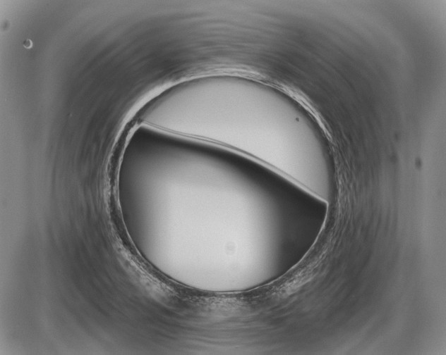 X0000087411024200704201015