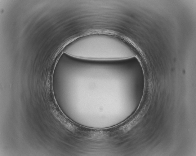 X0000087411025200704201015