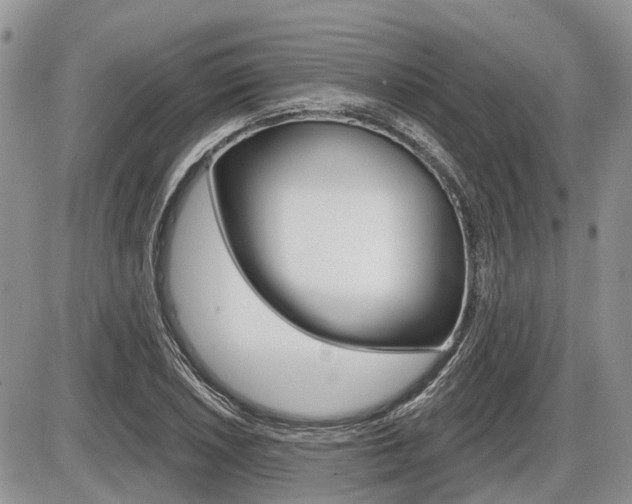 X0000087411026200704201015