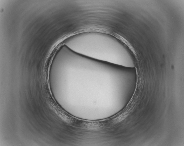 X0000087411027200704201015