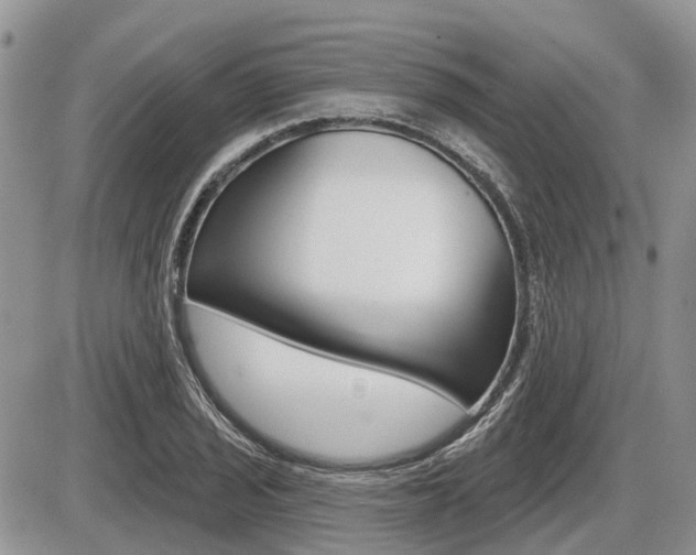 X0000087411029200704201015