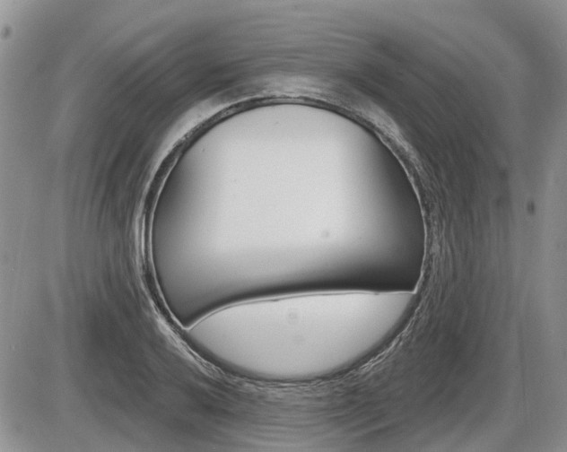 X0000087411032200704201015