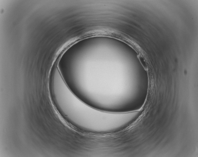 X0000087411034200704201015