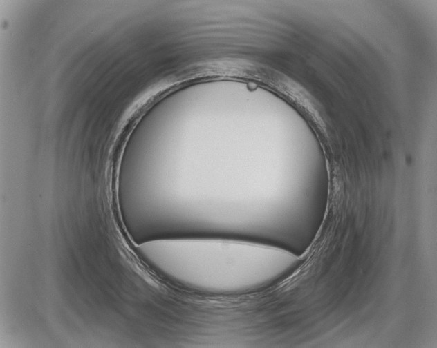 X0000087411035200704201015