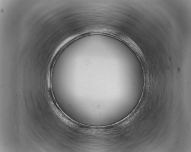 X0000087411036200704201015