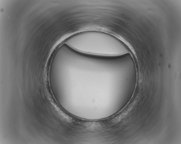 X0000087411037200704201015