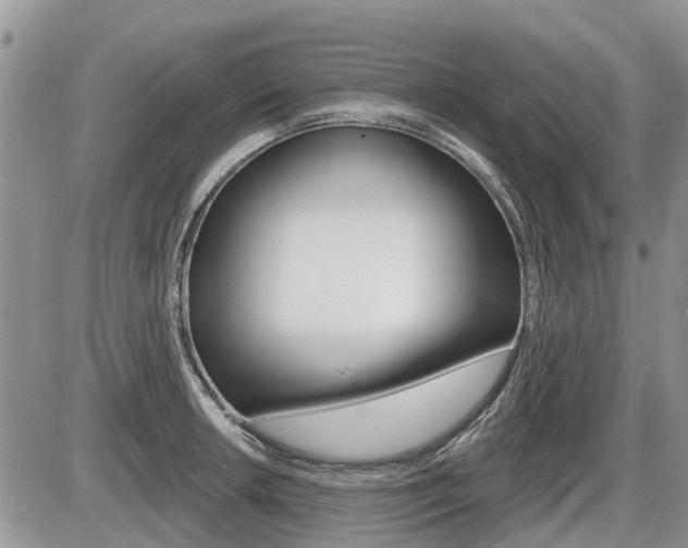 X0000087411042200704201015