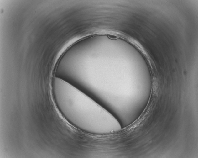 X0000087411048200704201015