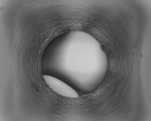 X0000087411057200704201015