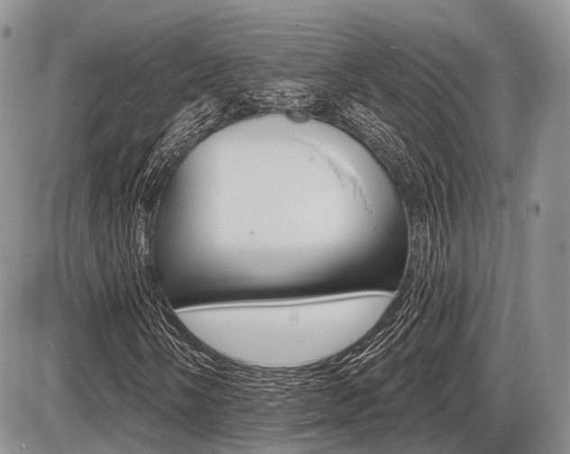 X0000087411058200704201015