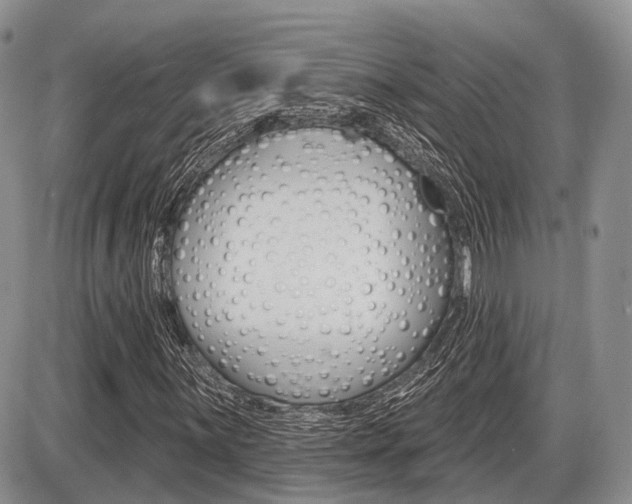 X0000087411059200704201015