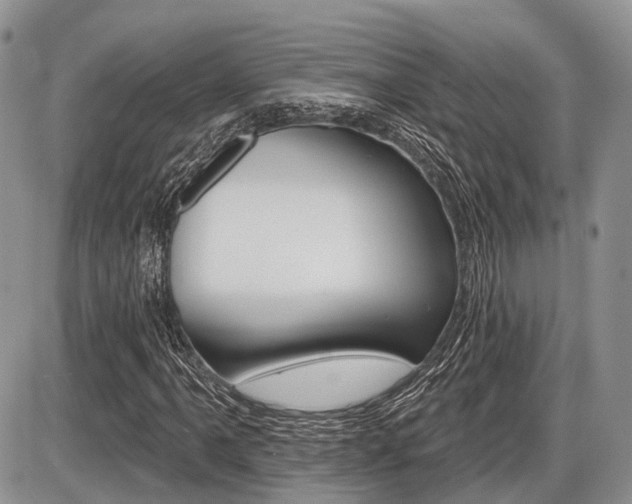 X0000087411061200704201015