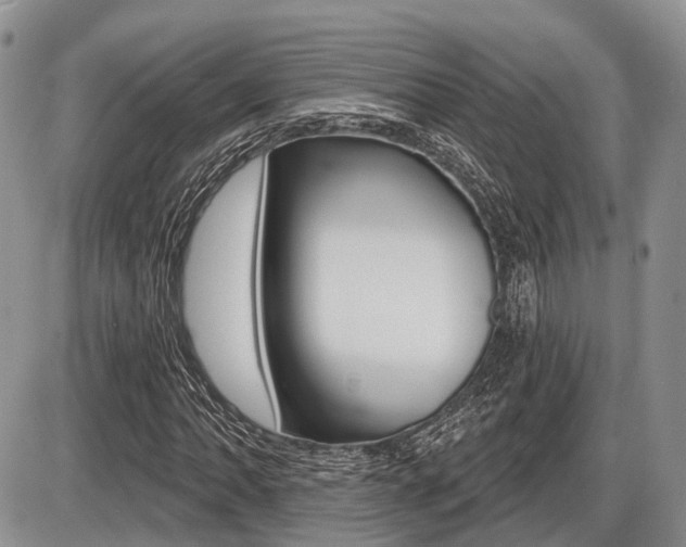 X0000087411062200704201015