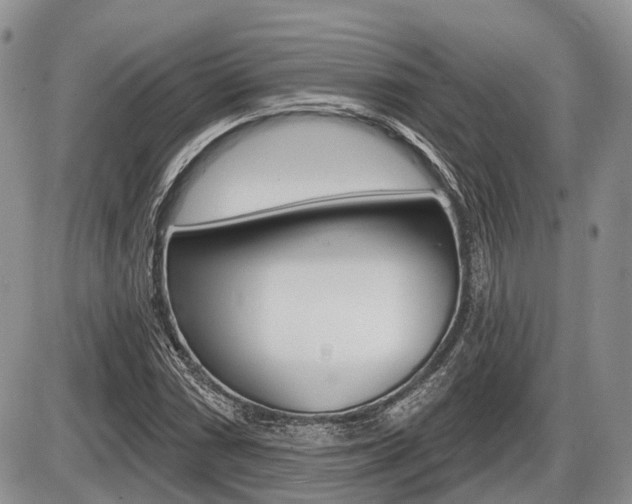 X0000087411066200704201015