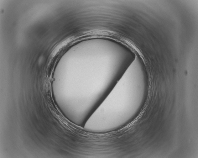 X0000087411067200704201015