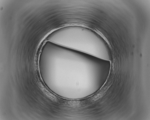 X0000087411068200704201015