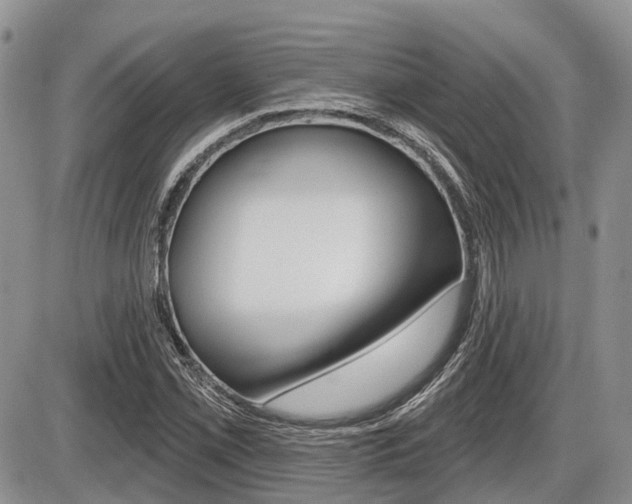 X0000087411069200704201015