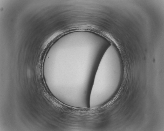 X0000087411071200704201015