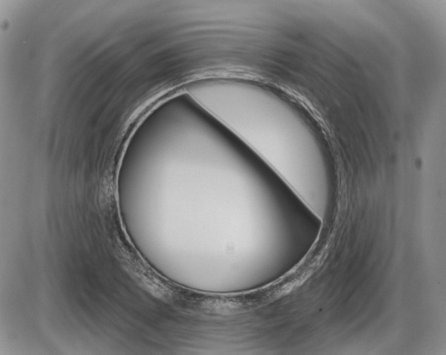 X0000087411073200704201014