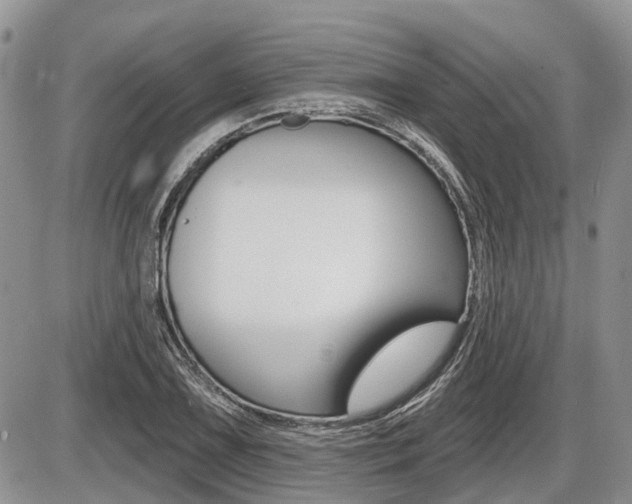 X0000087411075200704201014