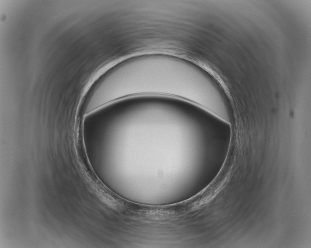 X0000087411077200704201014