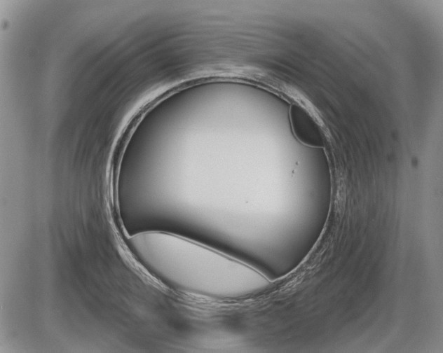 X0000087411080200704201014