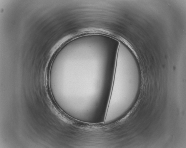 X0000087411082200704201014