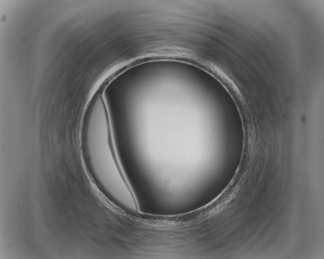 X0000087411085200704201014