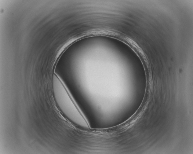 X0000087411089200704201014