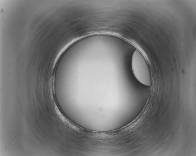 X0000087411100200704201014