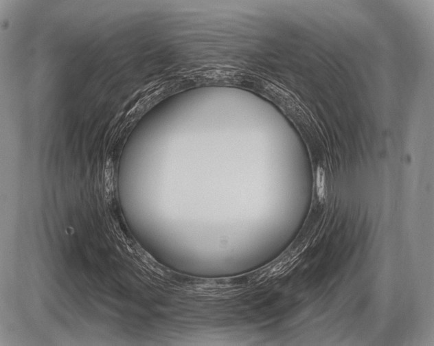 X0000087411107200704201013