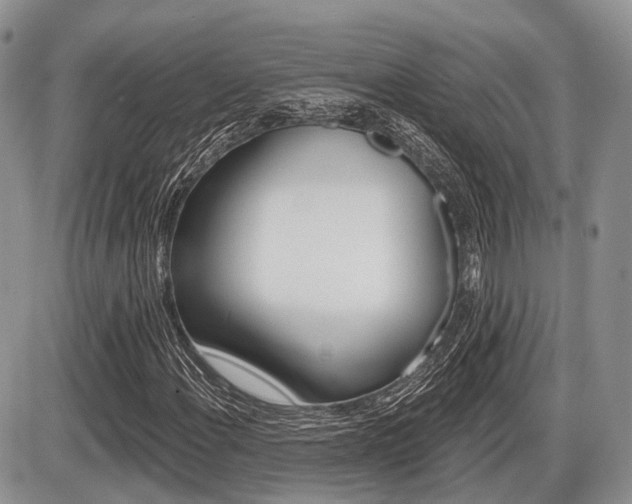 X0000087411108200704201013
