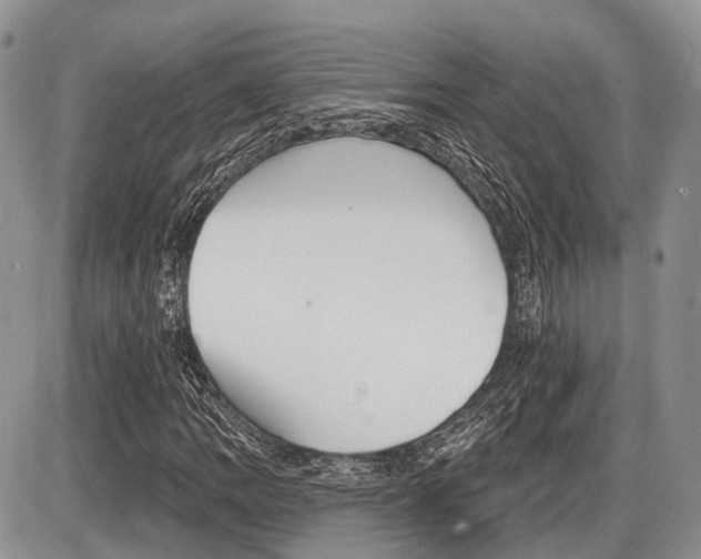 X0000087411109200704201013