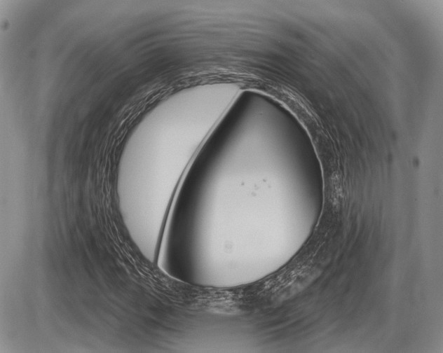 X0000087411111200704201013