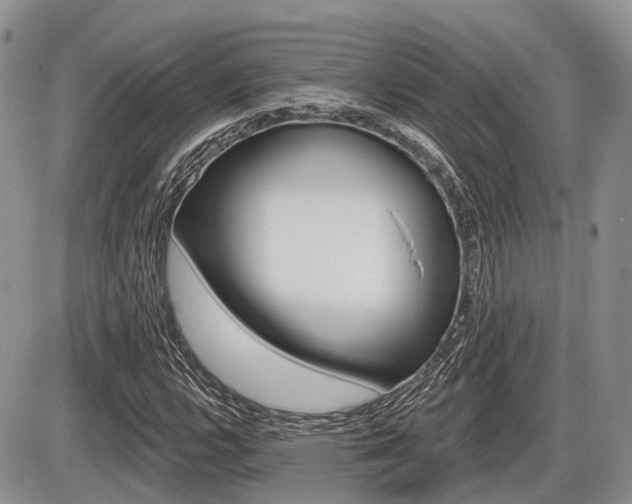 X0000087411112200704201013