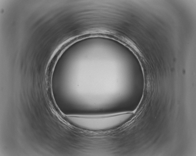 X0000087411116200704201013