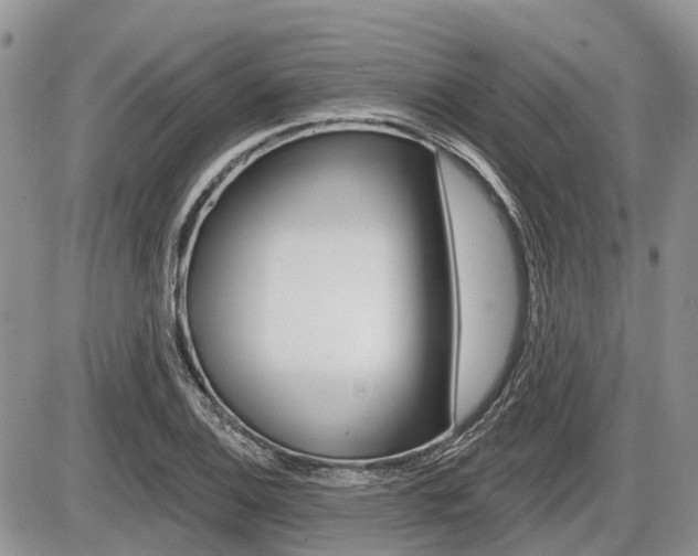 X0000087411124200704201014