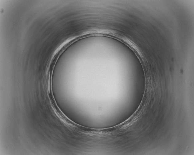 X0000087411127200704201014