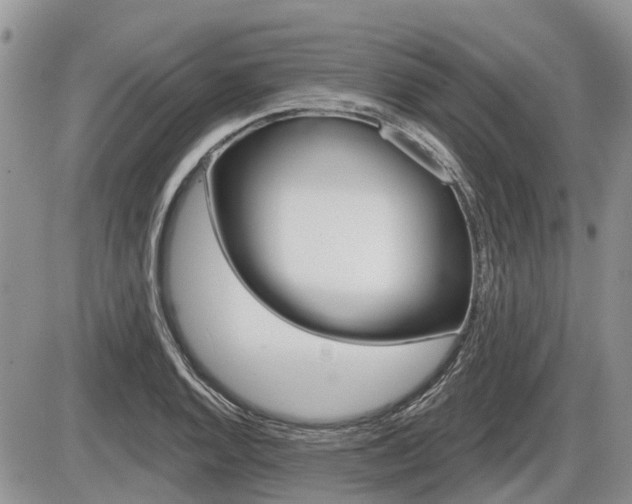 X0000087411128200704201014