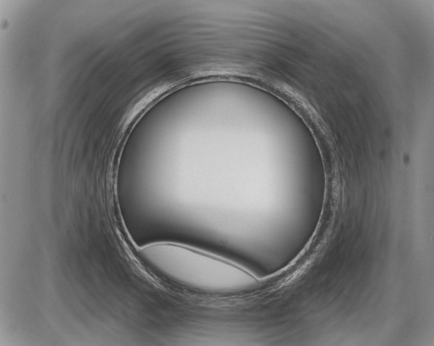 X0000087411129200704201014