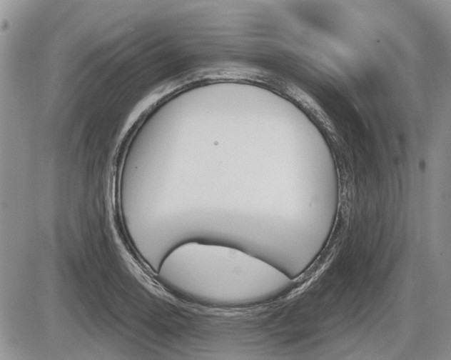 X0000087411130200704201014