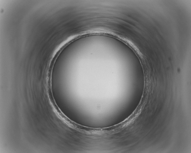 X0000087411134200704201014