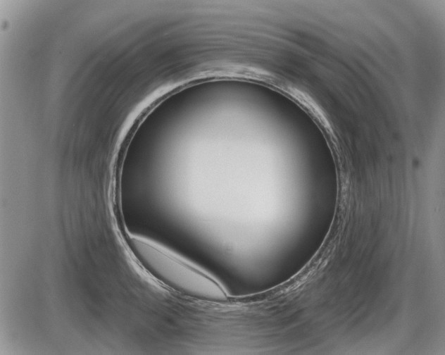 X0000087411136200704201014