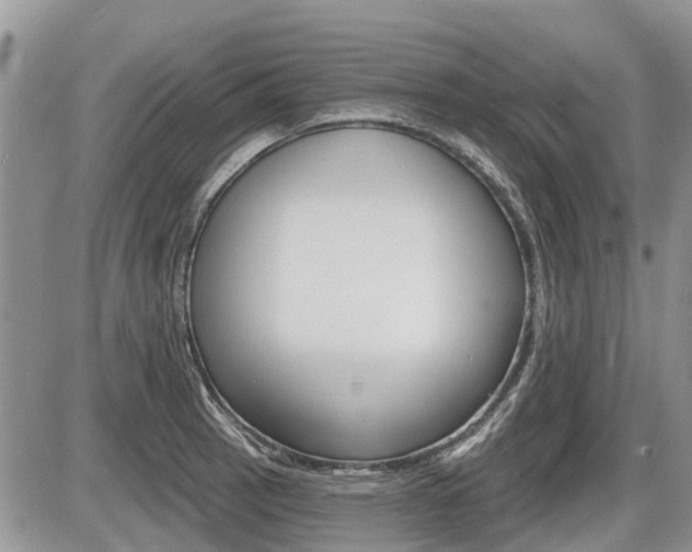 X0000087411137200704201014