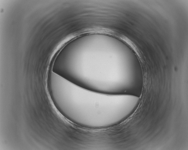 X0000087411139200704201014