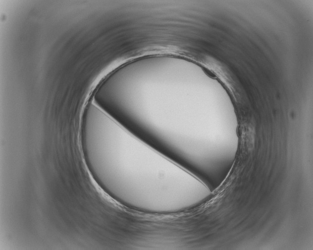 X0000087411143200704201014