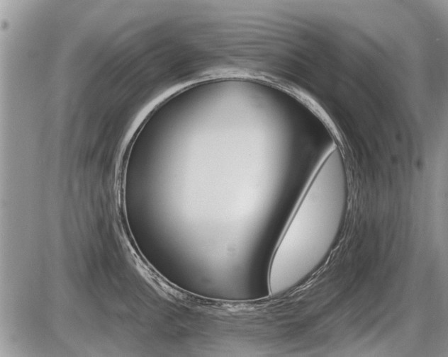 X0000087411148200704201014