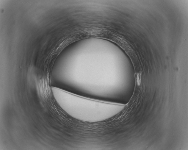 X0000087411155200704201013