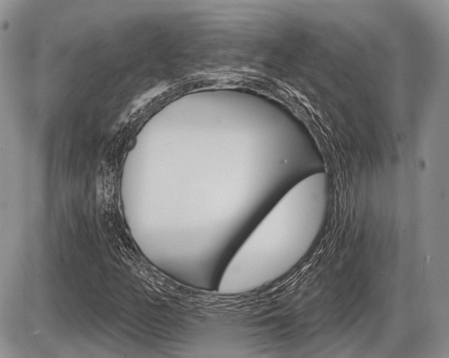 X0000087411158200704201013